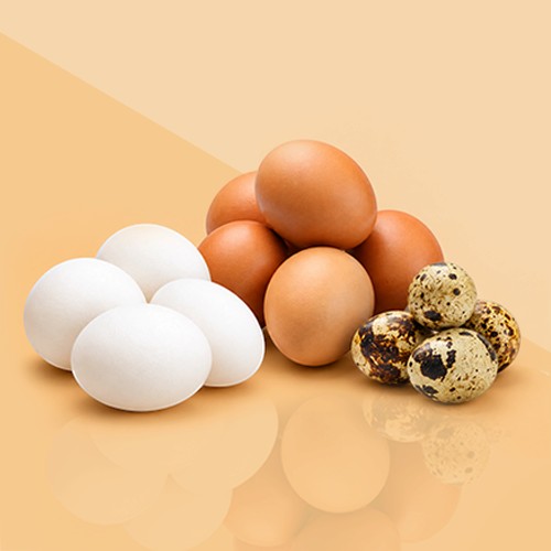 Eggs