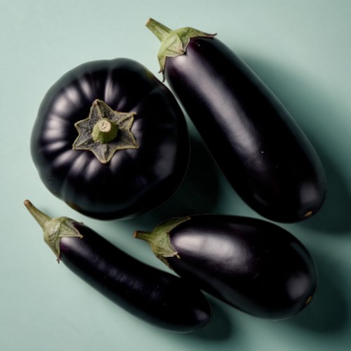 Eggplant